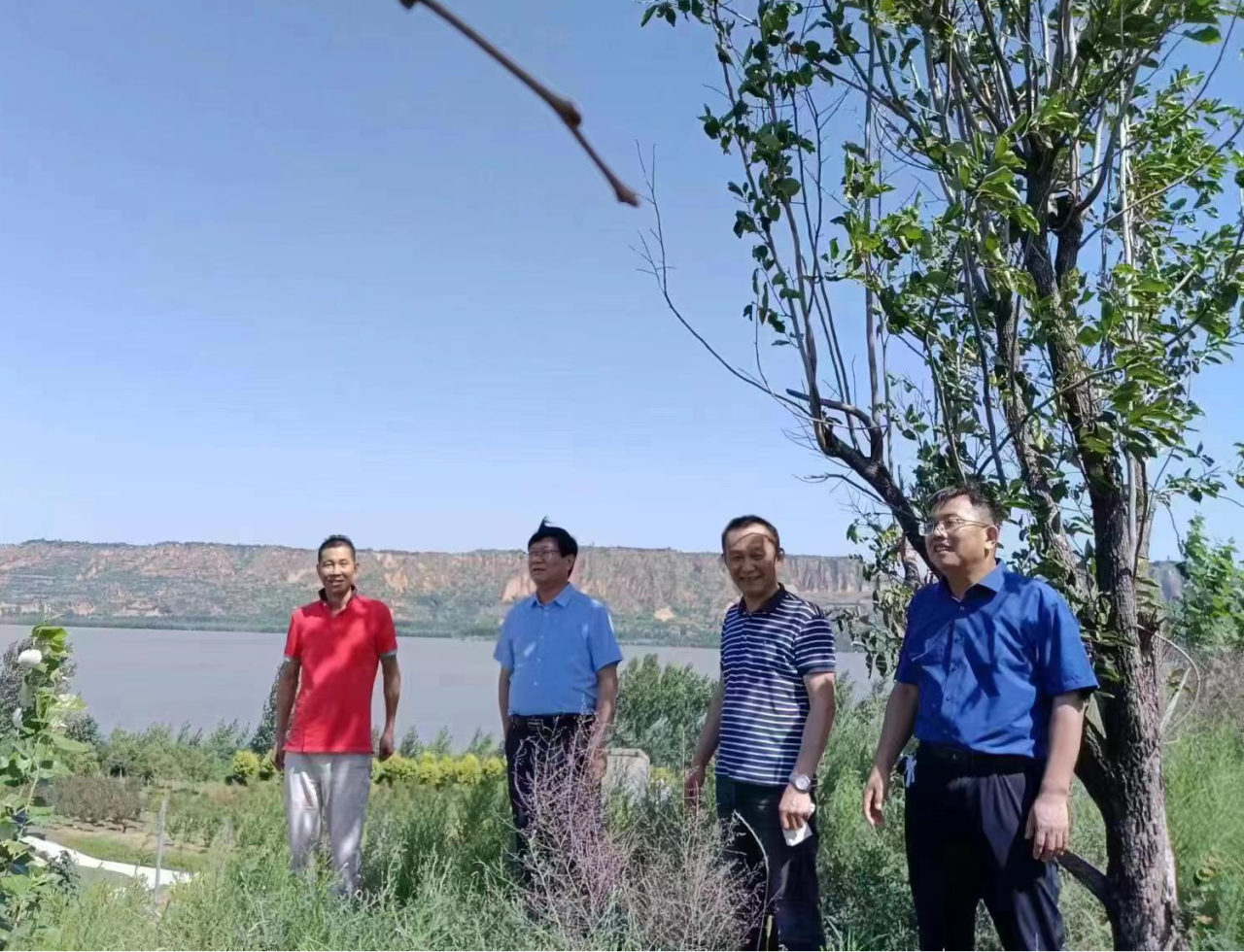 1696066885387316.png image.png