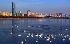 三門峽又一網(wǎng)紅景點(diǎn)，確定不來pick一下？